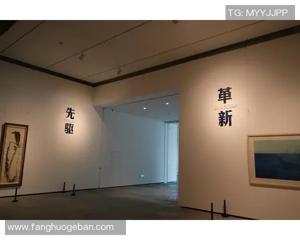深圳排球队中路突破革新引领战术变革与未来发展新趋势